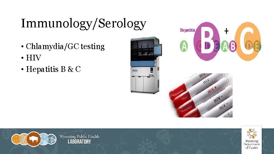 Immunology/Serology • Chlamydia/GC testing • HIV • Hepatitis B & C 