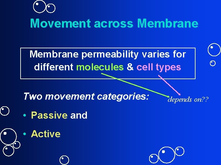 Movement across Membrane permeability varies for different molecules & cell types Two movement categories: Movement across Membrane permeability varies for different molecules & cell types Two movement categories: