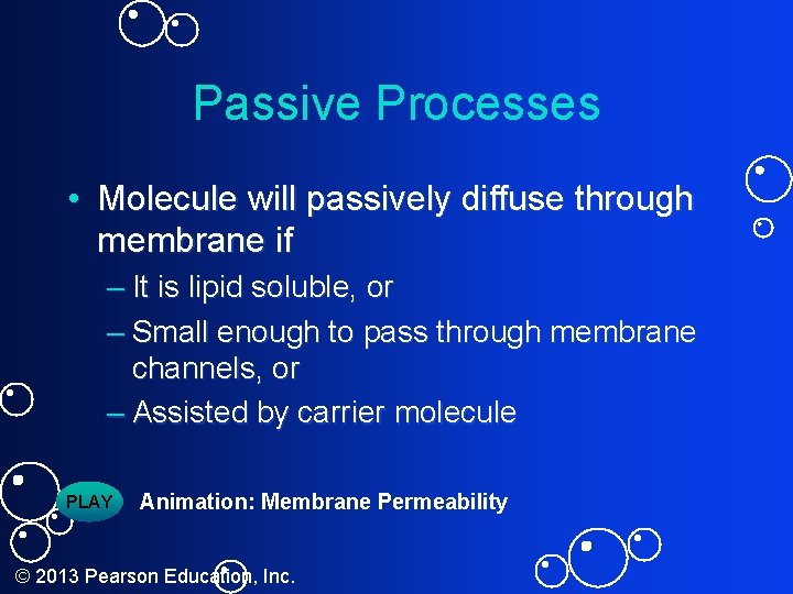Passive Processes • Molecule will passively diffuse through membrane if – It is lipid