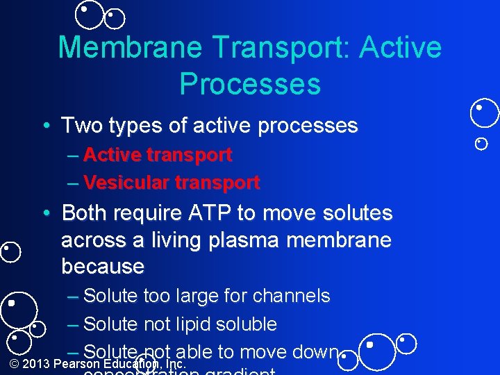Membrane Transport: Active Processes • Two types of active processes – Active transport –