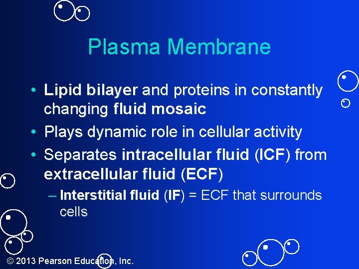 Plasma Membrane • Lipid bilayer and proteins in constantly changing fluid mosaic • Plays