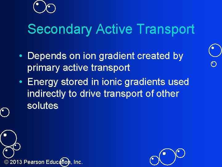 Secondary Active Transport • Depends on ion gradient created by primary active transport •