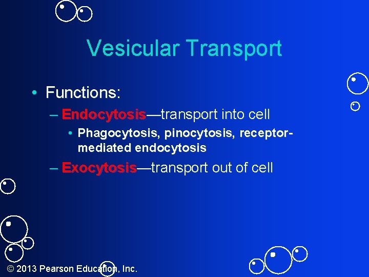 Vesicular Transport • Functions: – Endocytosis—transport into cell • Phagocytosis, pinocytosis, receptormediated endocytosis –