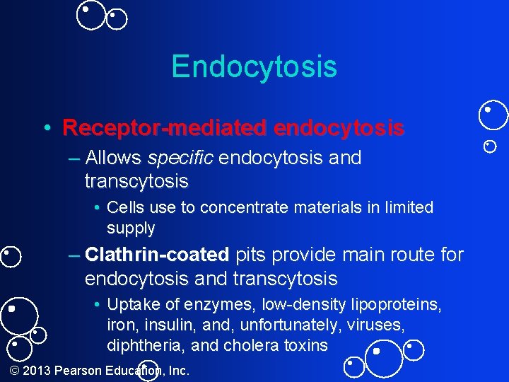 Endocytosis • Receptor-mediated endocytosis – Allows specific endocytosis and transcytosis • Cells use to