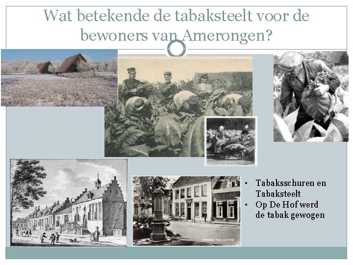 Wat betekende de tabaksteelt voor de bewoners van Amerongen? • Tabaksschuren en Tabaksteelt •