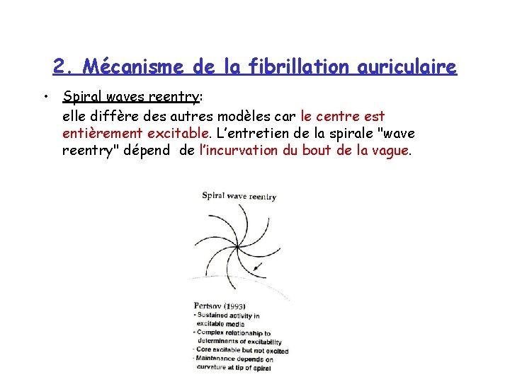 2. Mécanisme de la fibrillation auriculaire • Spiral waves reentry: elle diffère des autres