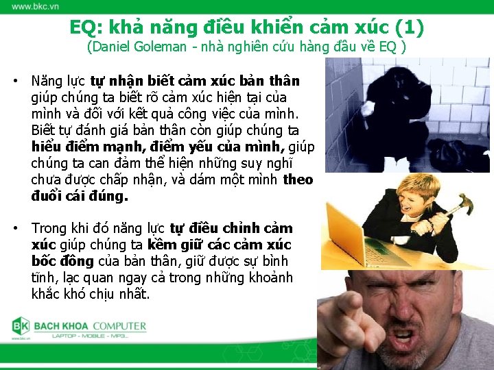 EQ: khả năng điều khiển cảm xúc (1) (Daniel Goleman - nhà nghiên cứu