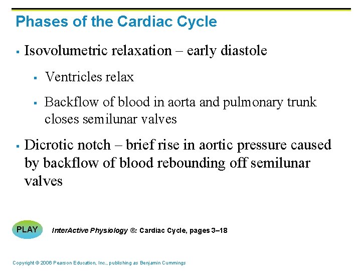 Phases of the Cardiac Cycle § Isovolumetric relaxation – early diastole § § §