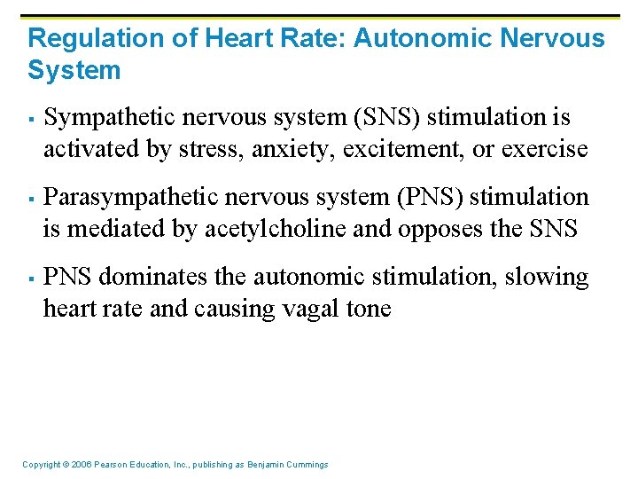 Regulation of Heart Rate: Autonomic Nervous System § § § Sympathetic nervous system (SNS)