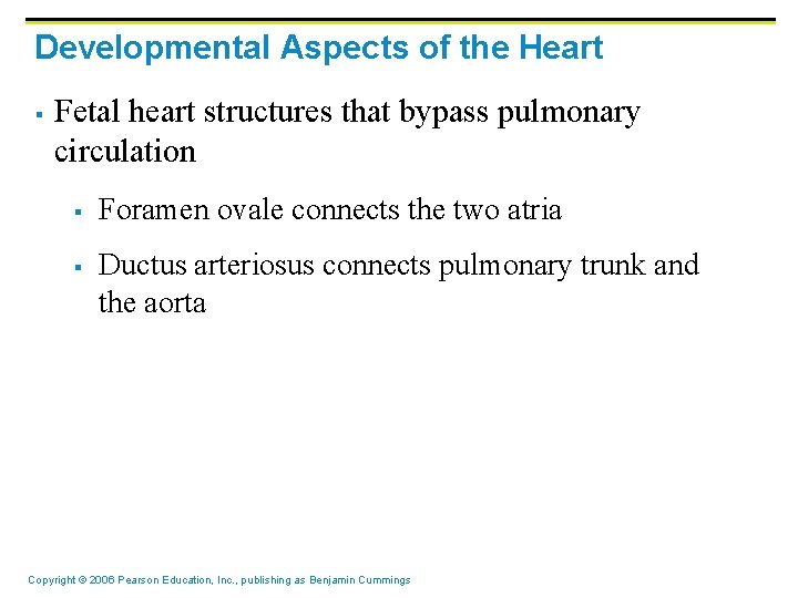 Developmental Aspects of the Heart § Fetal heart structures that bypass pulmonary circulation §