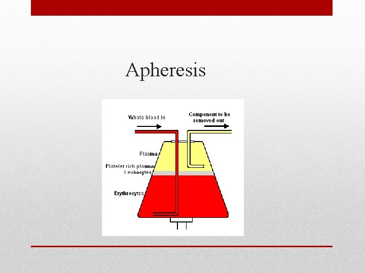 Apheresis 