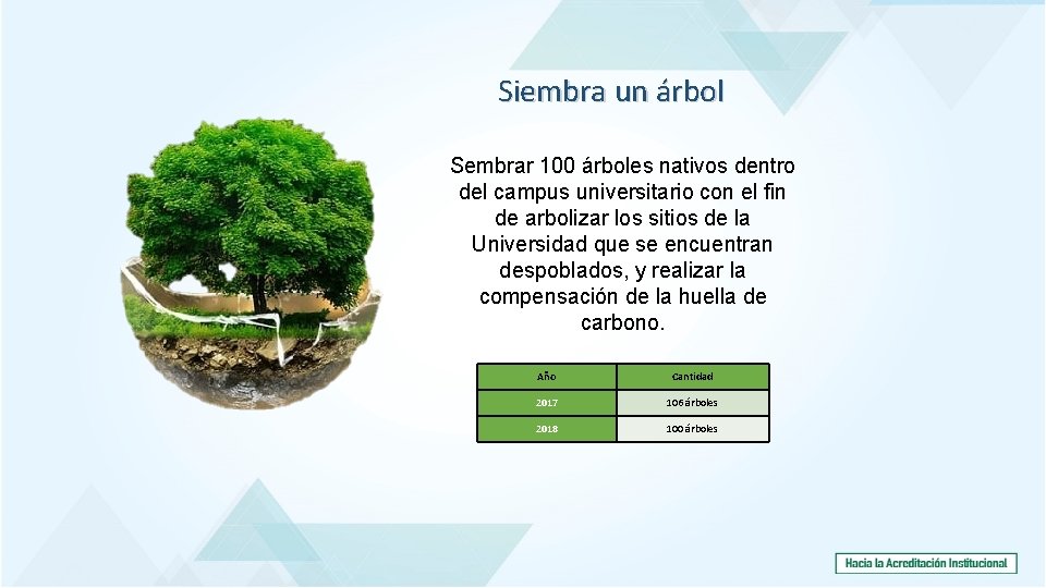 Siembra un árbol Sembrar 100 árboles nativos dentro del campus universitario con el fin