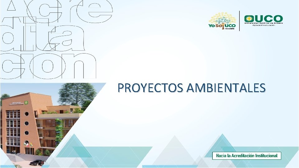 PROYECTOS AMBIENTALES 