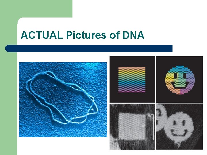 ACTUAL Pictures of DNA 