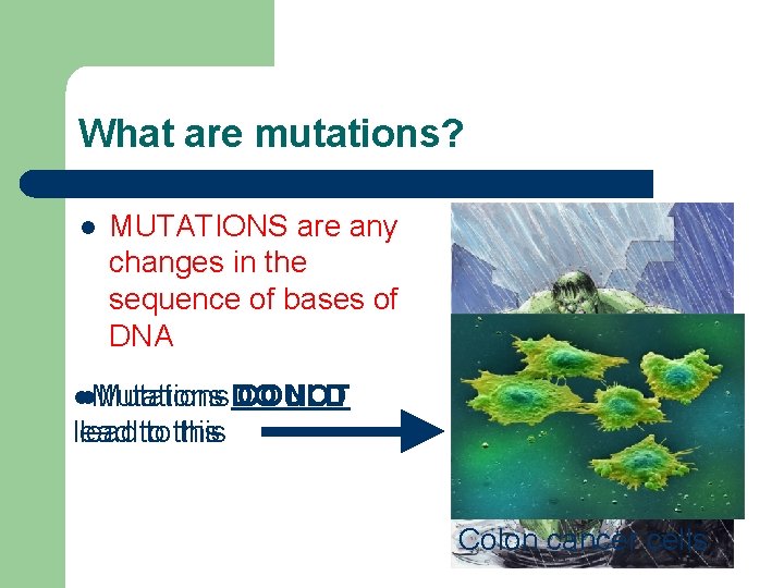 What are mutations? l MUTATIONS are any changes in the sequence of bases of