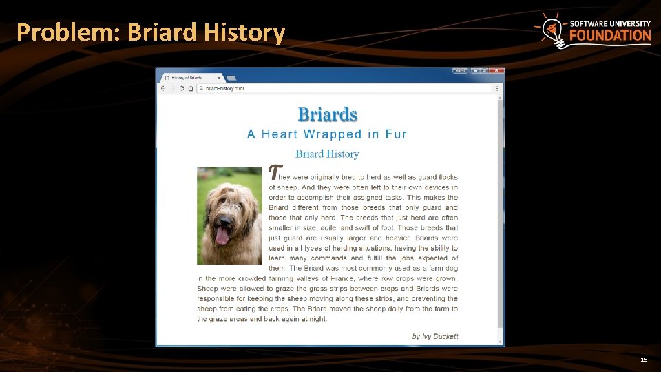 Problem: Problem Briard History 15  Problem: Problem Briard History 15
