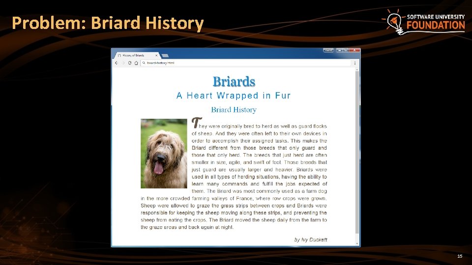 Problem: Problem Briard History 15 