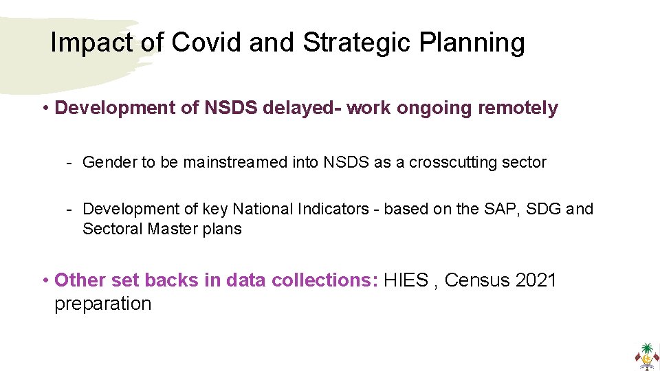 Impact of Covid and Strategic Planning • Development of NSDS delayed- work ongoing remotely