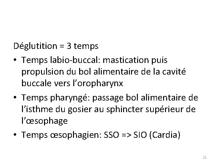 Déglutition = 3 temps • Temps labio-buccal: mastication puis propulsion du bol alimentaire de