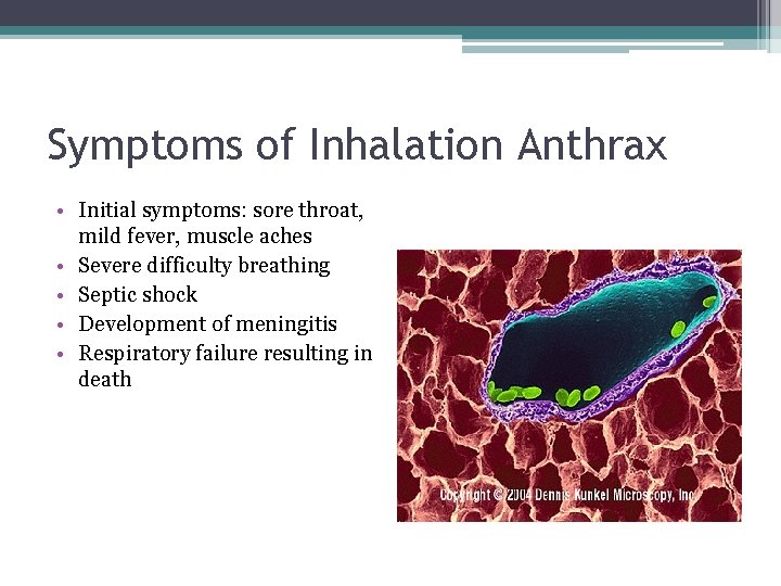 Symptoms of Inhalation Anthrax • Initial symptoms: sore throat, mild fever, muscle aches •