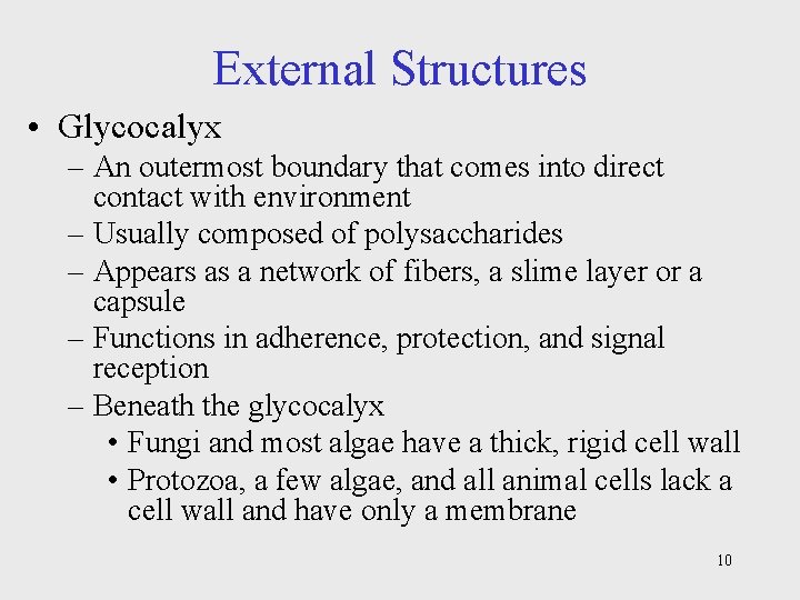 External Structures • Glycocalyx – An outermost boundary that comes into direct contact with