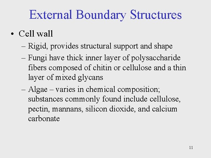 External Boundary Structures • Cell wall – Rigid, provides structural support and shape –