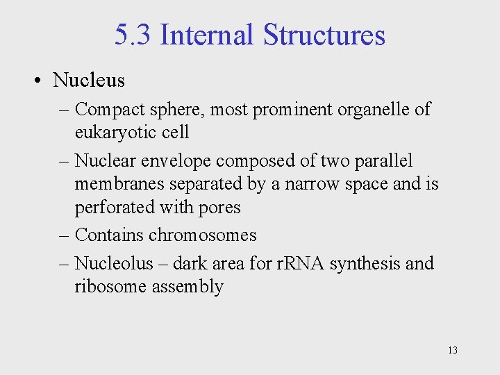5. 3 Internal Structures • Nucleus – Compact sphere, most prominent organelle of eukaryotic