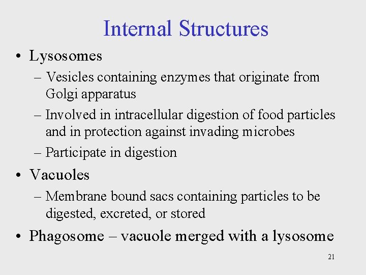 Internal Structures • Lysosomes – Vesicles containing enzymes that originate from Golgi apparatus –