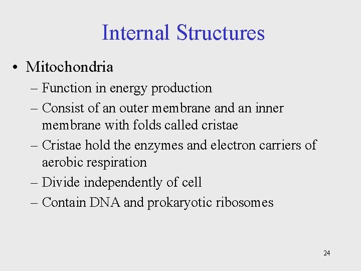 Internal Structures • Mitochondria – Function in energy production – Consist of an outer
