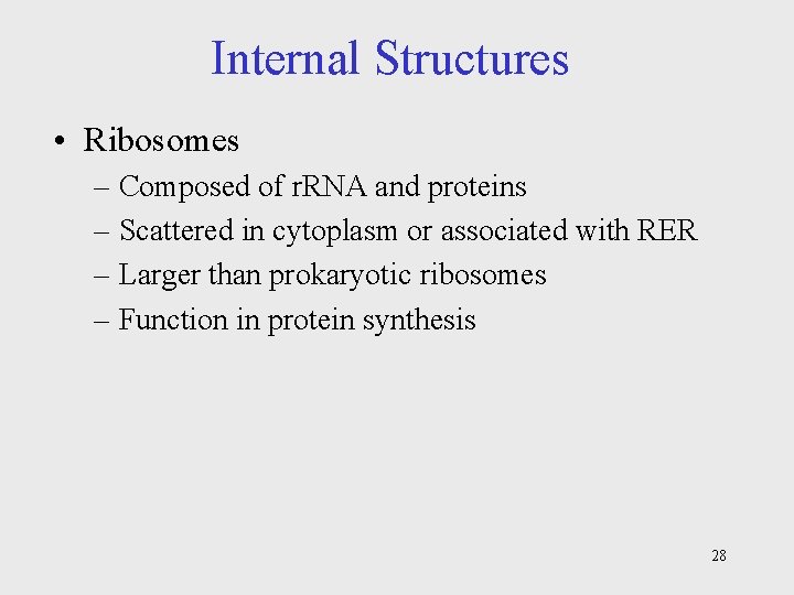Internal Structures • Ribosomes – Composed of r. RNA and proteins – Scattered in