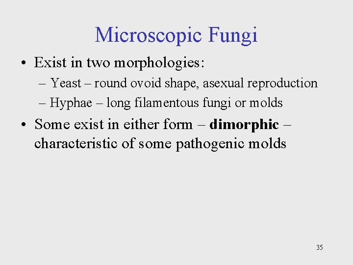 Microscopic Fungi • Exist in two morphologies: – Yeast – round ovoid shape, asexual