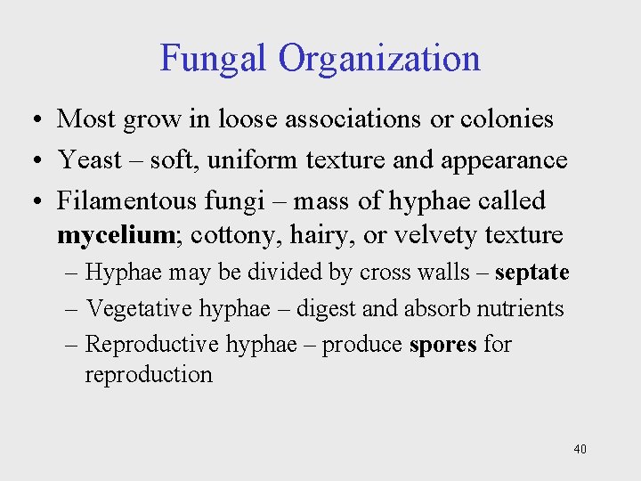 Fungal Organization • Most grow in loose associations or colonies • Yeast – soft,