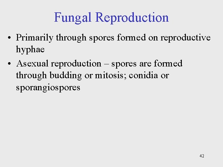 Fungal Reproduction • Primarily through spores formed on reproductive hyphae • Asexual reproduction –