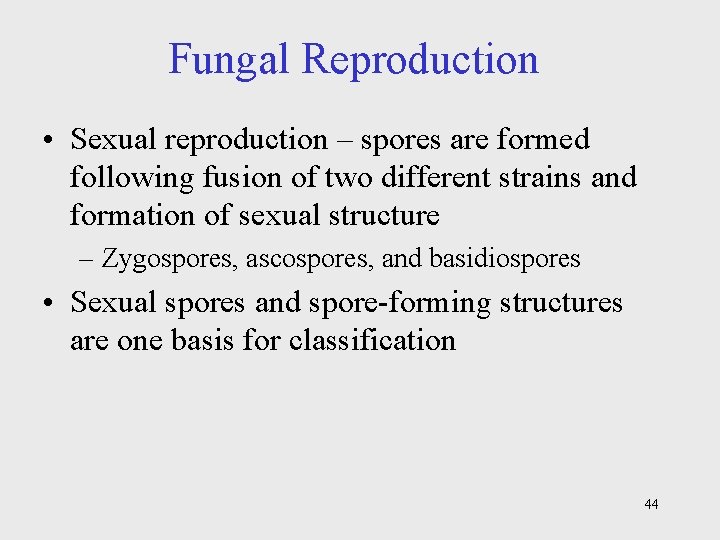 Fungal Reproduction • Sexual reproduction – spores are formed following fusion of two different