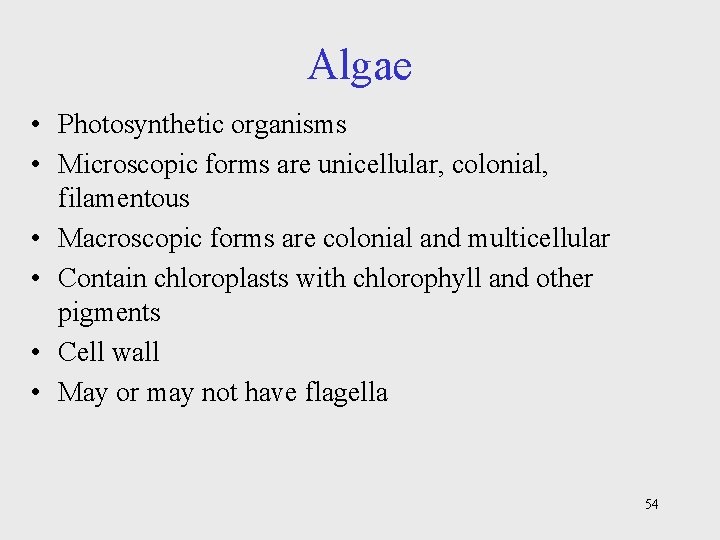 Algae • Photosynthetic organisms • Microscopic forms are unicellular, colonial, filamentous • Macroscopic forms