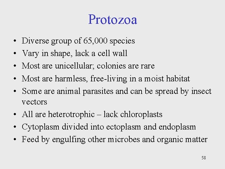 Protozoa • • • Diverse group of 65, 000 species Vary in shape, lack