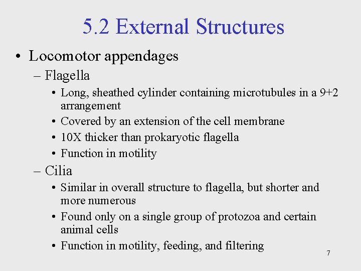 5. 2 External Structures • Locomotor appendages – Flagella • Long, sheathed cylinder containing