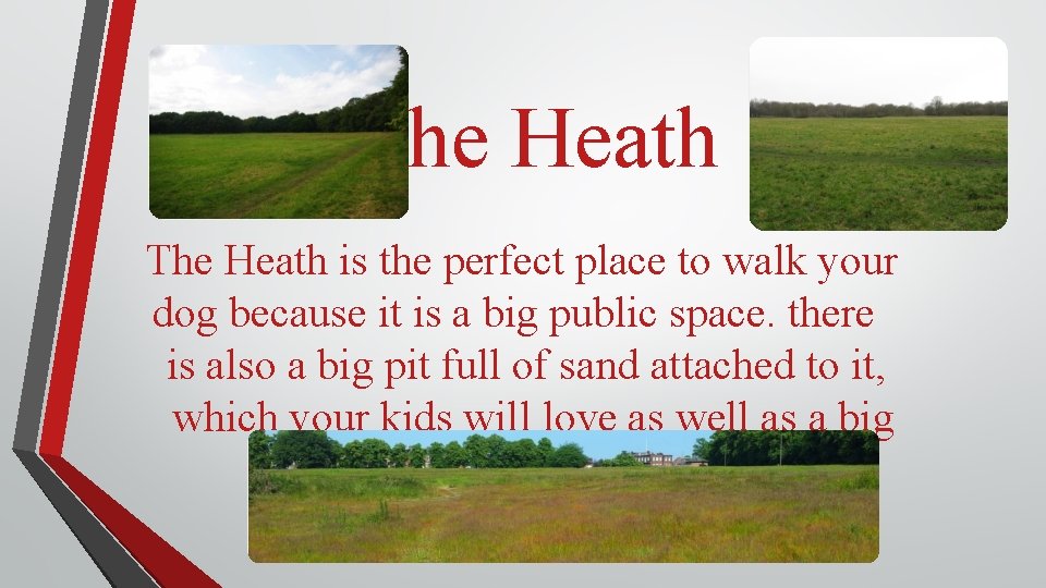 The Heath is the perfect place to walk your dog because it is a