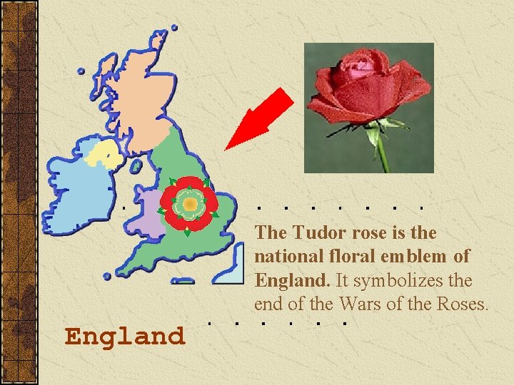 The Tudor rose is the national floral emblem of England. It symbolizes the end