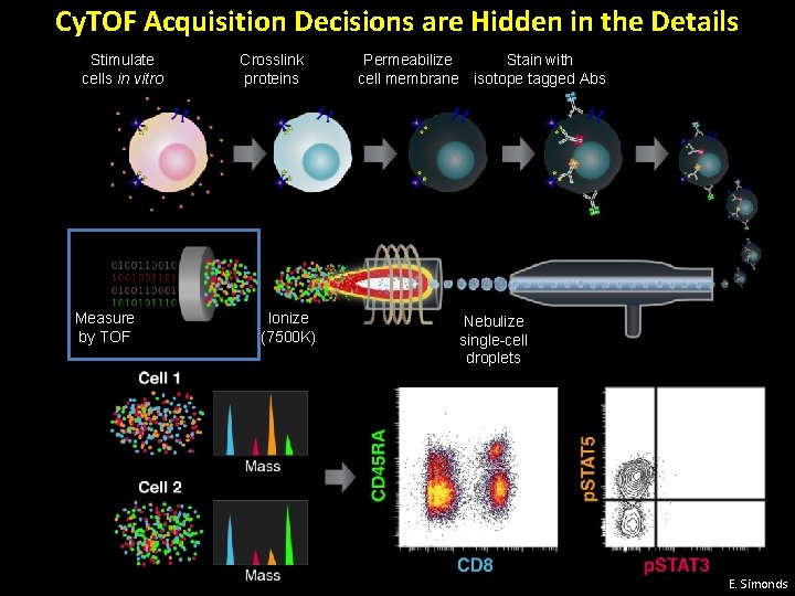 Cy. TOF Acquisition Decisions are Hidden in the Details Stimulate cells in vitro Measure