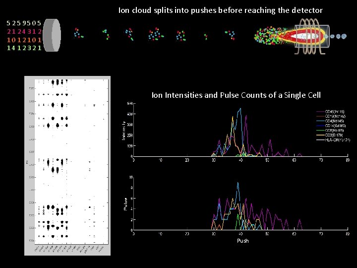 Ion cloud splits into pushes before reaching the detector 5259505 2124312 1012101 1412321 Ion