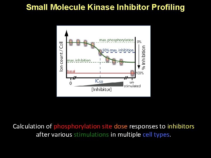 Small Molecule Kinase Inhibitor Profiling Calculation of phosphorylation site dose responses to inhibitors after