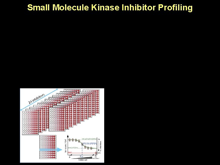 Small Molecule Kinase Inhibitor Profiling 