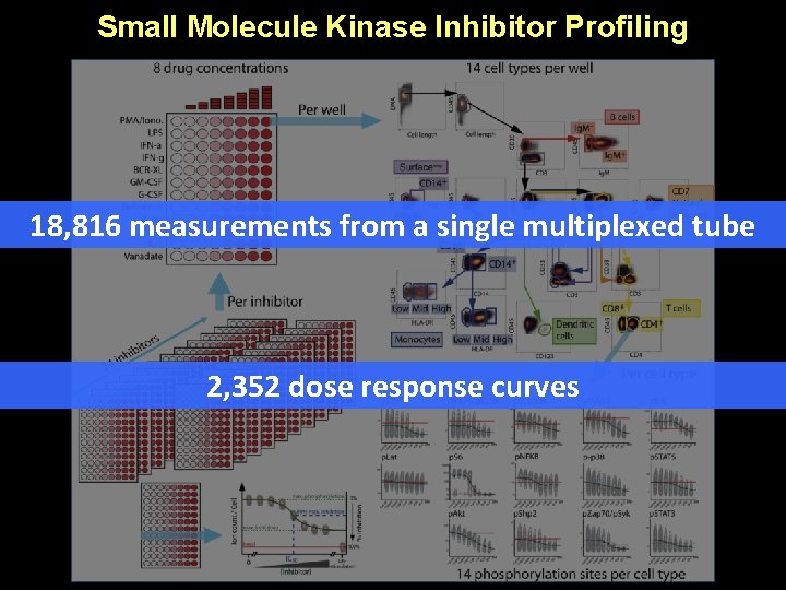 Small Molecule Kinase Inhibitor Profiling 18, 816 measurements from a single multiplexed tube 2,