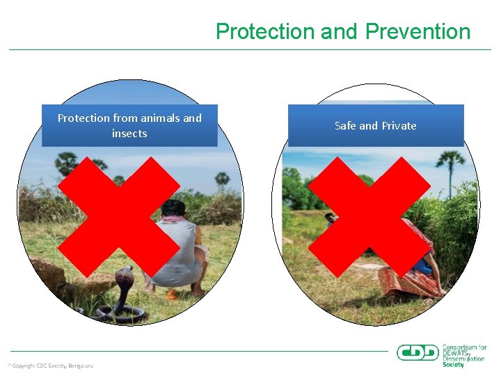 Protection and Prevention Protection from animals and insects Safe and Private 7 