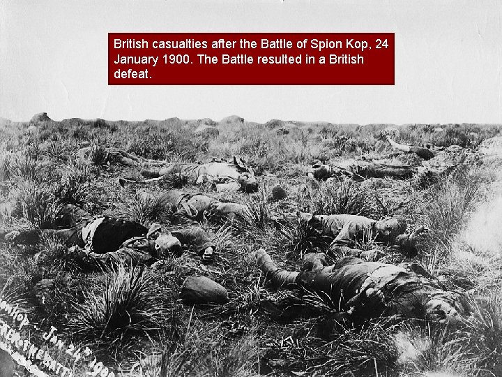 British casualties after the Battle of Spion Kop, 24 January 1900. The Battle resulted