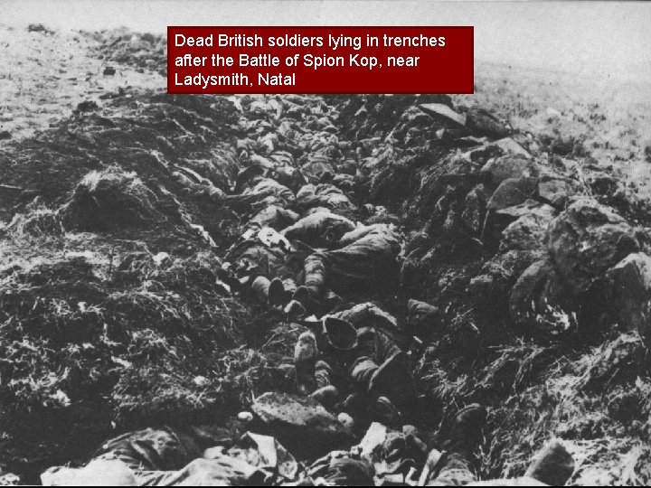 Dead British soldiers lying in trenches after the Battle of Spion Kop, near Ladysmith,