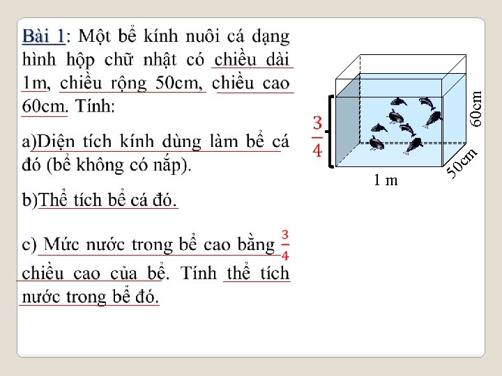 1 m cm 50 60 cm 