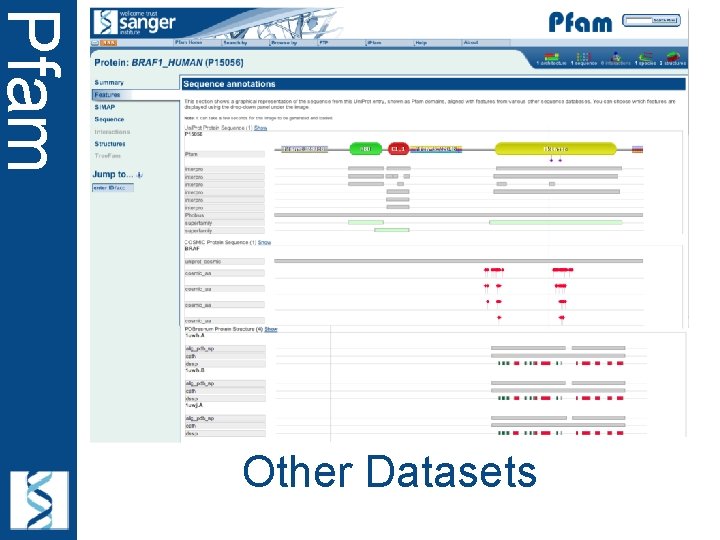 Pfam Other Datasets 