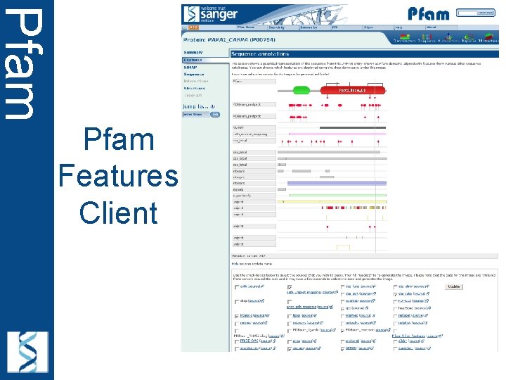 Pfam Features Client 